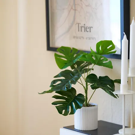 Apartamento MARX City-Studio-Apartment Trier Zentrum - für Geschäftsreisende und Paare *